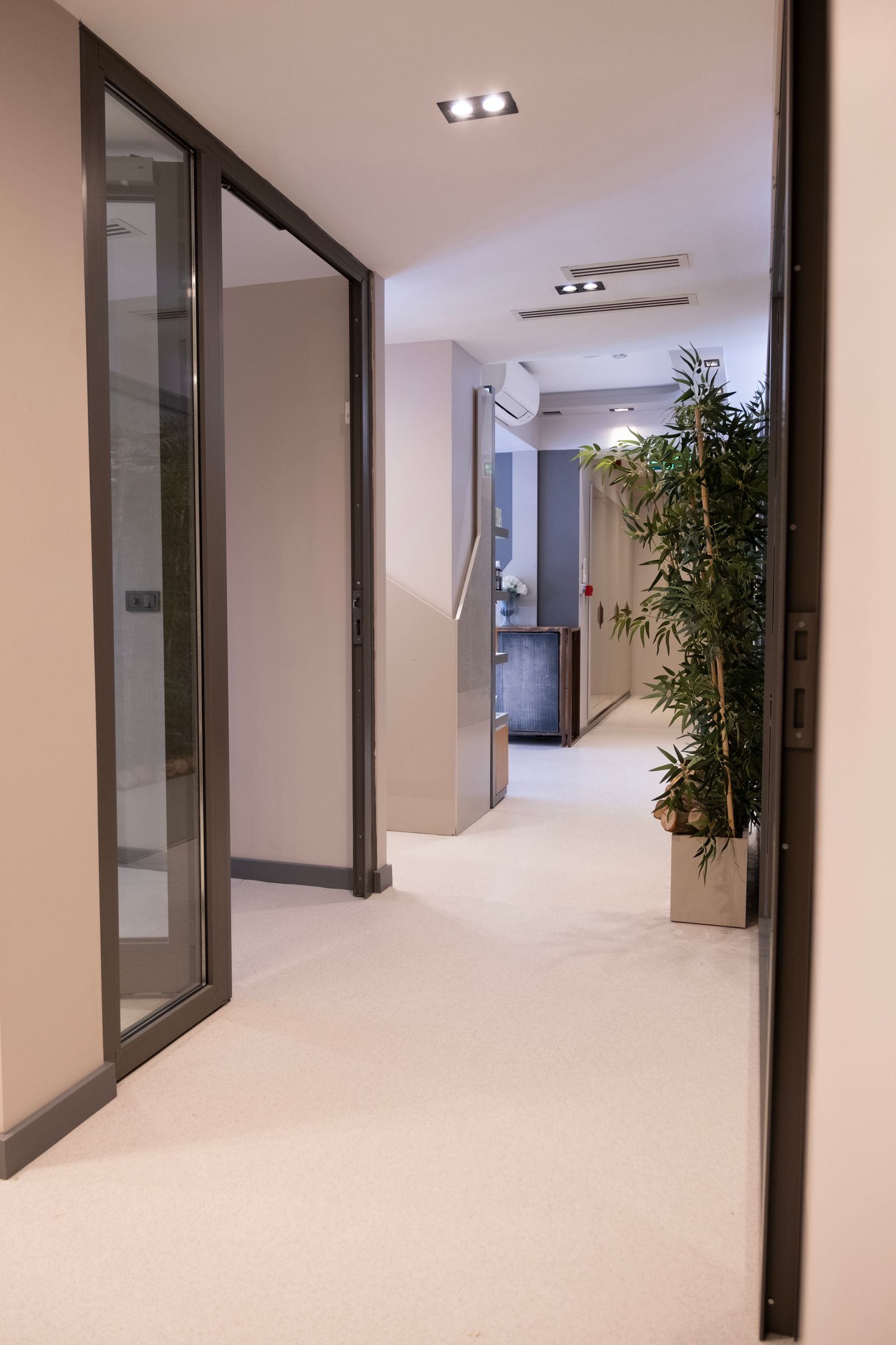 Illustrative modern clinic corridor with plants, not the actual clinic